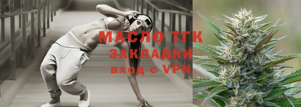 сатива Покачи