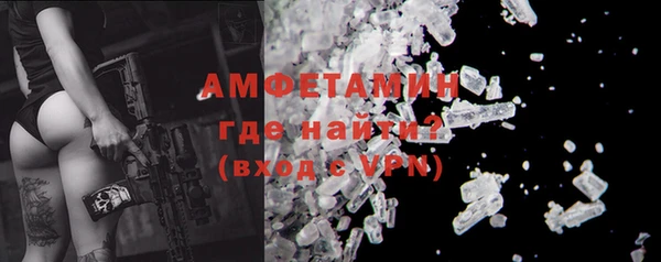 сатива Покачи