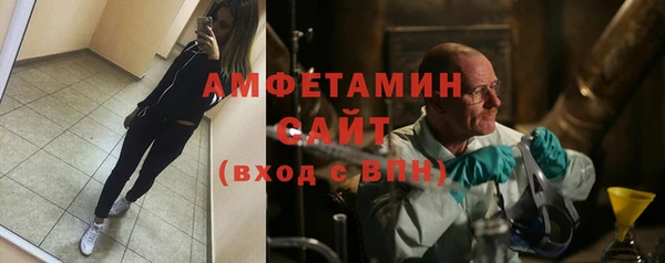 сатива Покачи