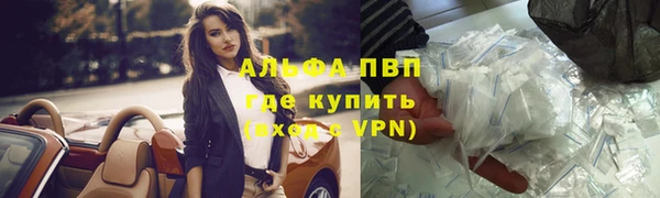 сатива Покачи
